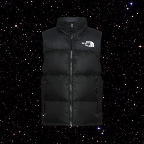 TNF Vest