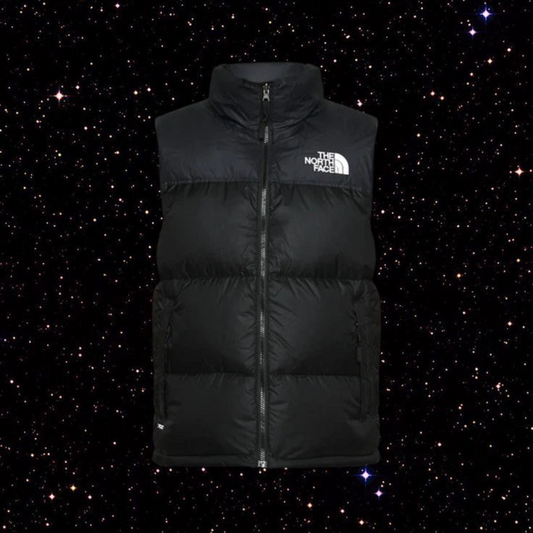 TNF Vest